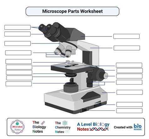 microscope worksheet pdf.